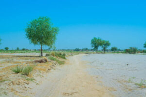 Ground water crisis